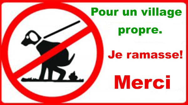 crottedechiens
