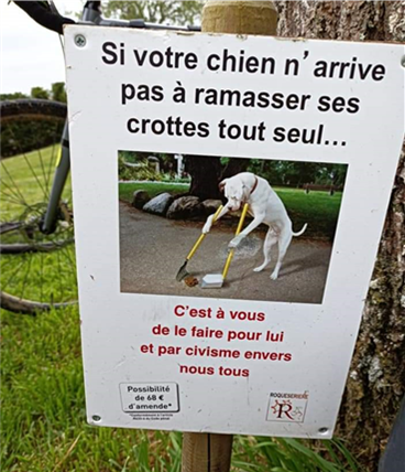 chien2