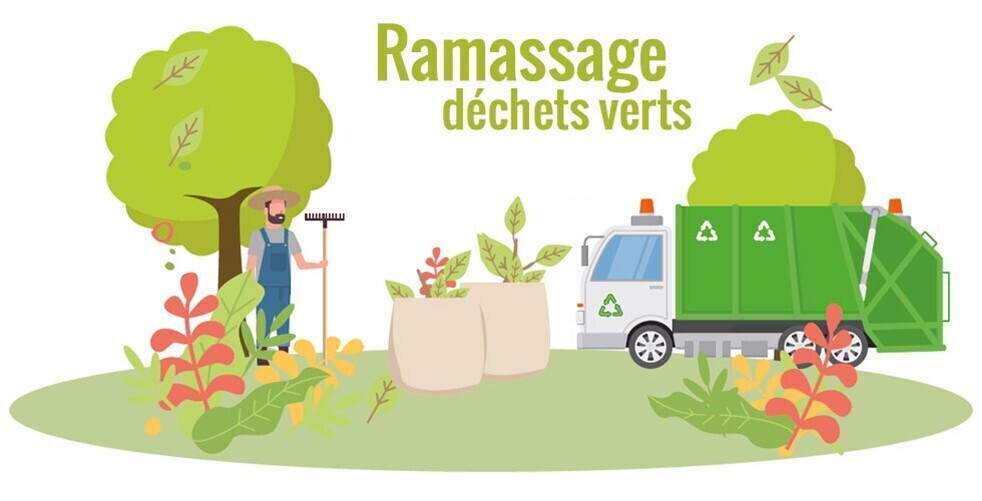 DECHET V